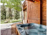 More Details about MLS # 984291 : 1480 DAVID DR 2 ESTES PARK CO 80517