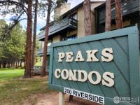 More Details about MLS # 988858 : 200 W RIVERSIDE DR HALLETT-6 ESTES PARK CO 80517