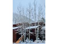 More Details about MLS # 990200 : 1516 FISH HATCHERY RD 13 ESTES PARK CO 80517