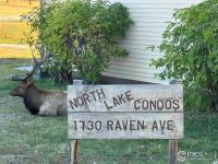 More Details about MLS # 998484 : 1730 RAVEN AVE A-9 ESTES PARK CO 80517